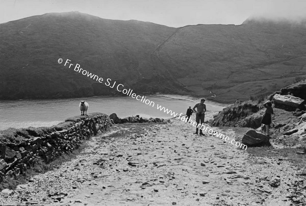 GROUP ON ROAD AT COAST